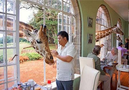 هتل در کنیا