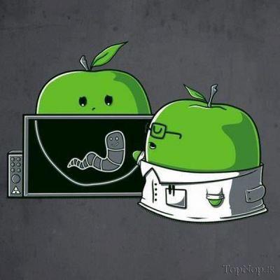 کاریکاتور سیب