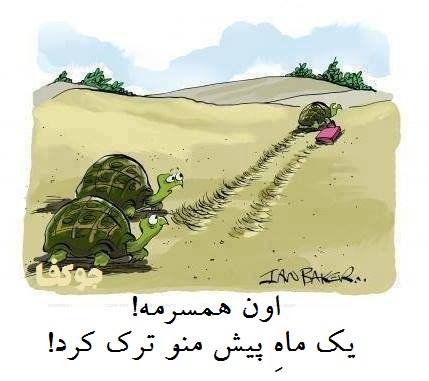کاریکاتور لاکپشت