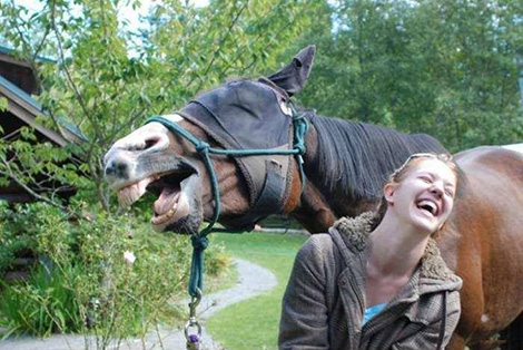 خنده اسب